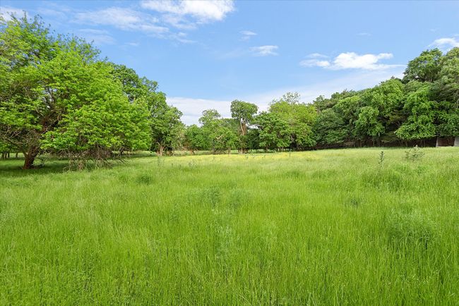 View of nature with a wooded view | Image 21