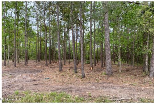  Lot 44 Basswood Drive, Pass Christian, MS, 39571 | Card Image