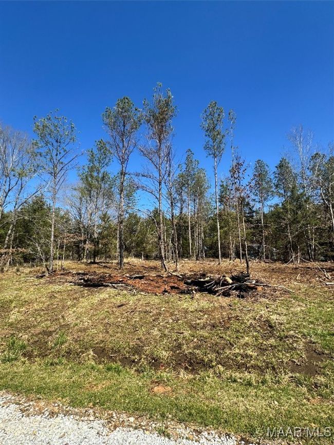 2 Prairie Bluff Drive, Home with 0 bedrooms, 0 bathrooms and null parking in Catherine AL | Image 4