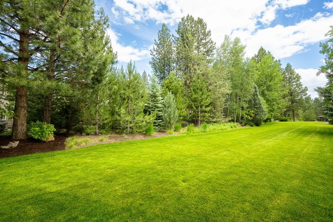 15-web-or-mls-6-27-25 61345 Tam McArthur | Image 44