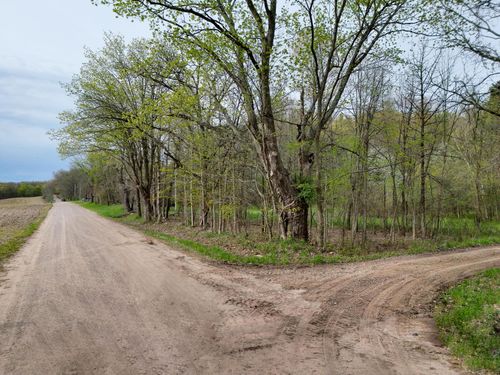 V/L Biggs Avenue Ne, Lowell, MI, 49331 | Card Image