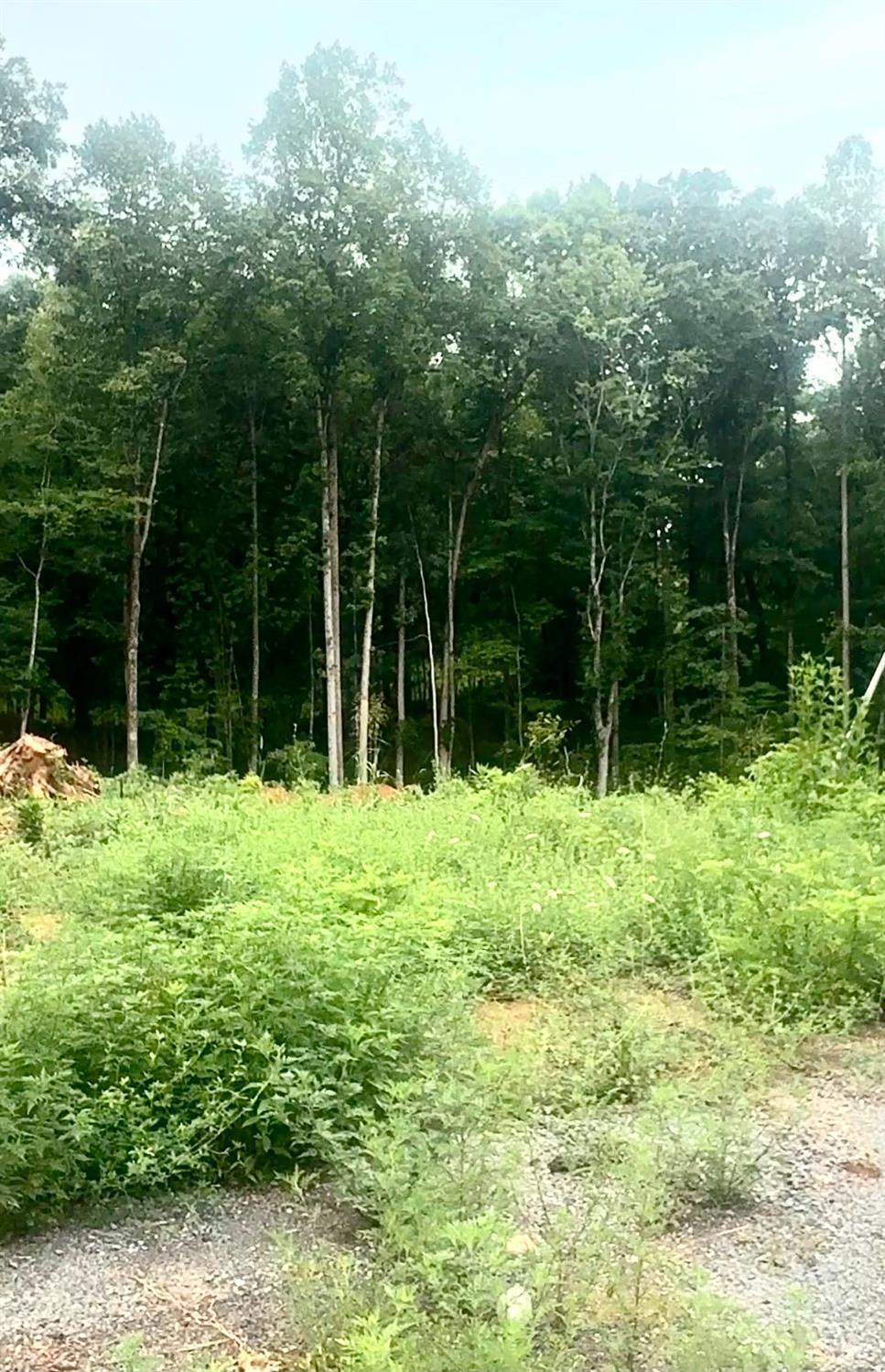 Land in Bedford 2