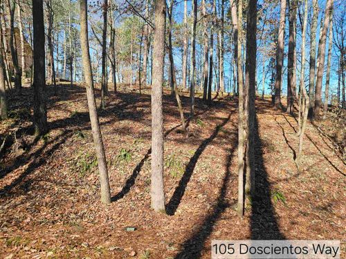 105 Doscientos Way, Hot Springs Village, AR, 71909-3722 | Card Image