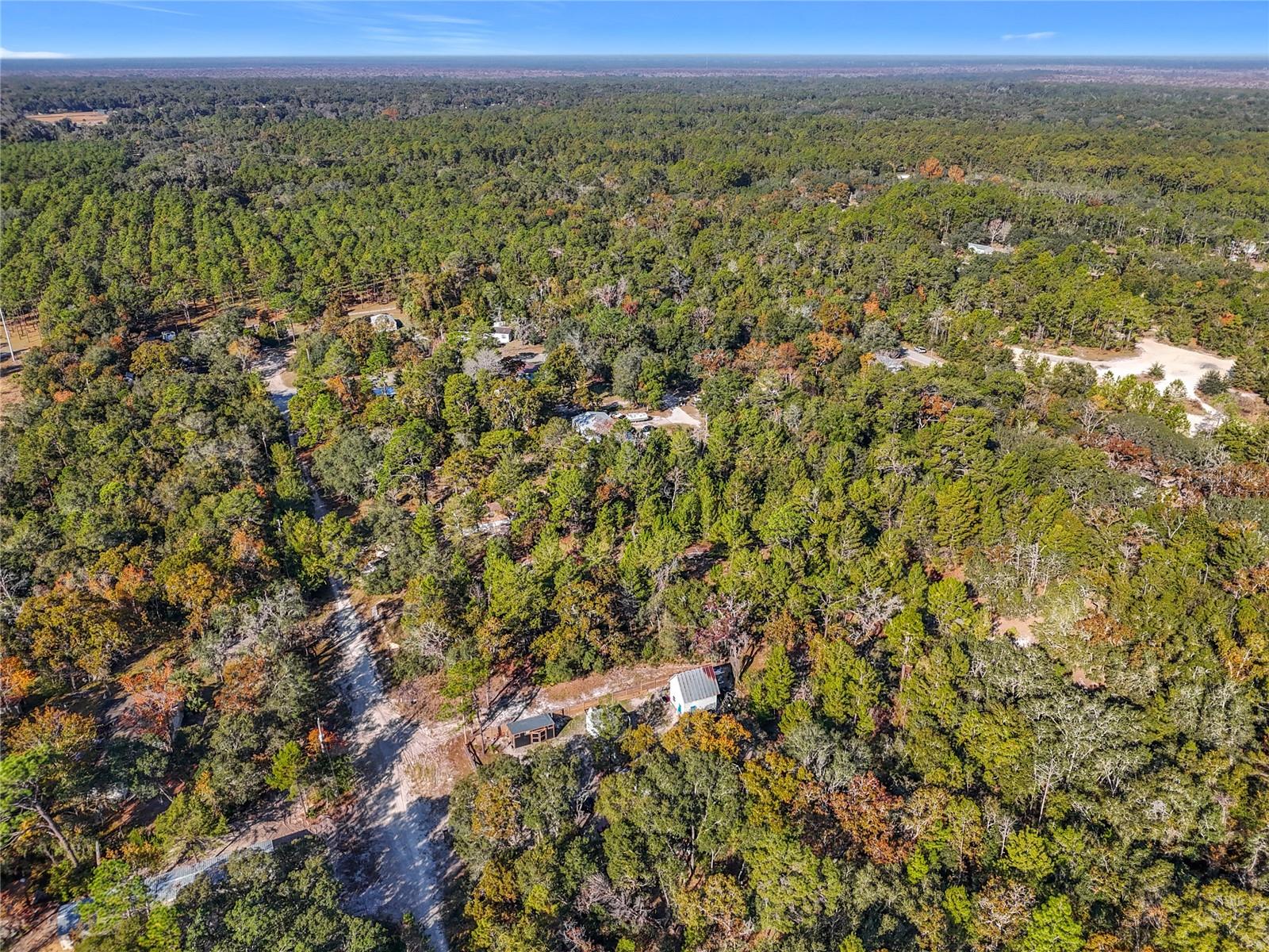Land in SATSUMA 4