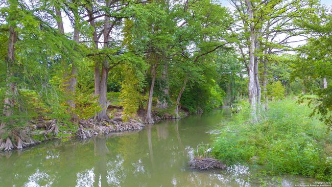 TRACT 5 46 Fm 1621, Home with 0 bedrooms, 0 bathrooms and null parking in Comfort TX | Image 14