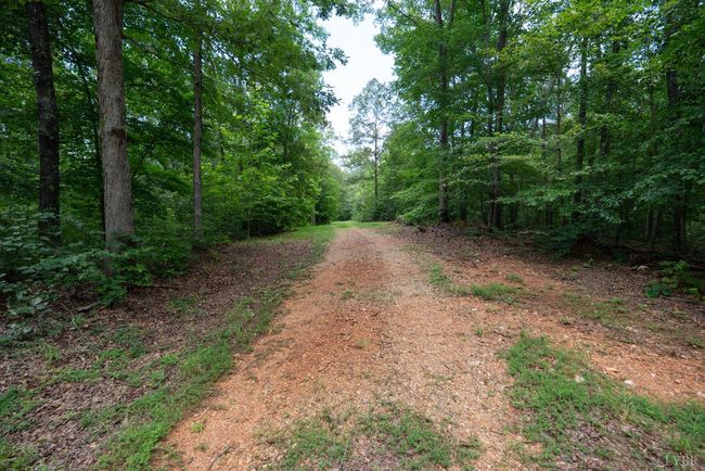 0 Allens Creek Rd, Home with 0 bedrooms, 0 bathrooms and null parking in GLADSTONE VA | Image 8