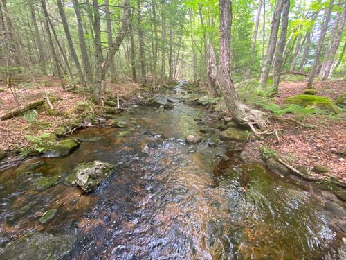 783 Half Township Rd, Lincoln, ME, 04457-4840 | Card Image