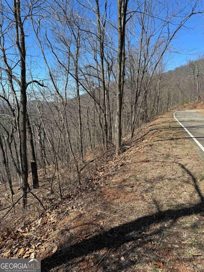 7349 Starlight Ln, Home with 0 bedrooms, 0 bathrooms and null parking in Jasper GA | Image 4