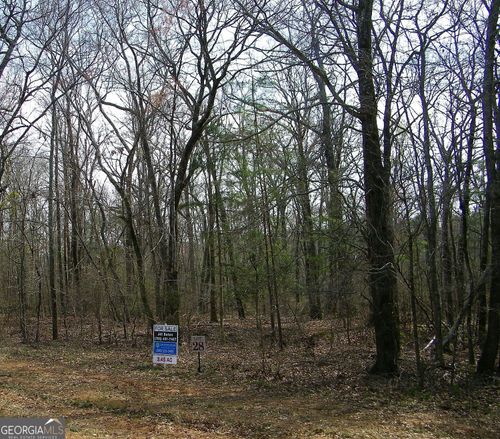 LOT 28 Benjamin Brown Ct, Elberton, GA, 30635 | Card Image