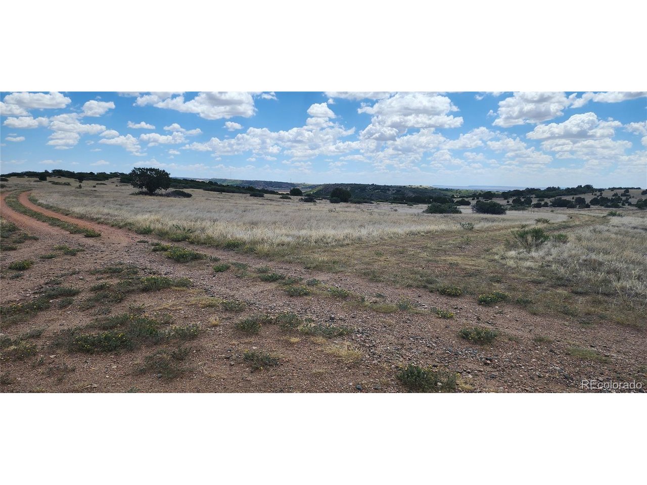 Land in Colorado City 2