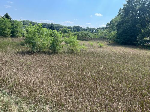 3380 Babylon Rd, Allegan, MI, 49010-9212 | Card Image