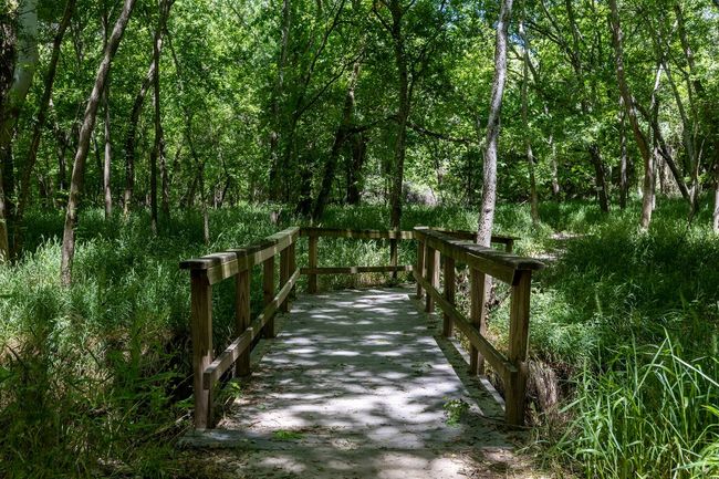 000 Pine Hollow Dr, Home with 0 bedrooms, 0 bathrooms and null parking in Bastrop TX | Image 13