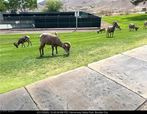 unit-2-237 Garrett Ln, Boulder City, NV, 89005-1433 | Card Image