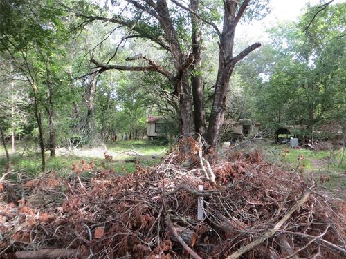 1033 Dr Neal Road, New Ulm, TX, 78950 | Card Image