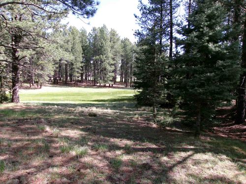631 Sarazen Ter, Angel Fire, NM, 87710 | Card Image