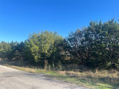 2919 Blackjack Ln, Granbury, TX, 76048-3516 | Card Image