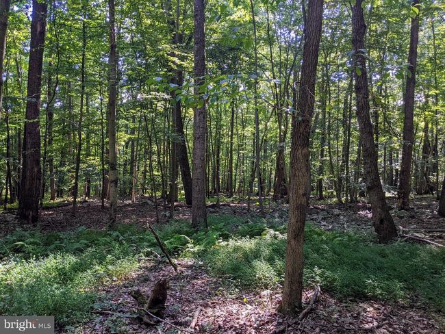 21 Hawthorne Cir, Home with 0 bedrooms, 0 bathrooms and null parking in ELVERSON PA | Image 13