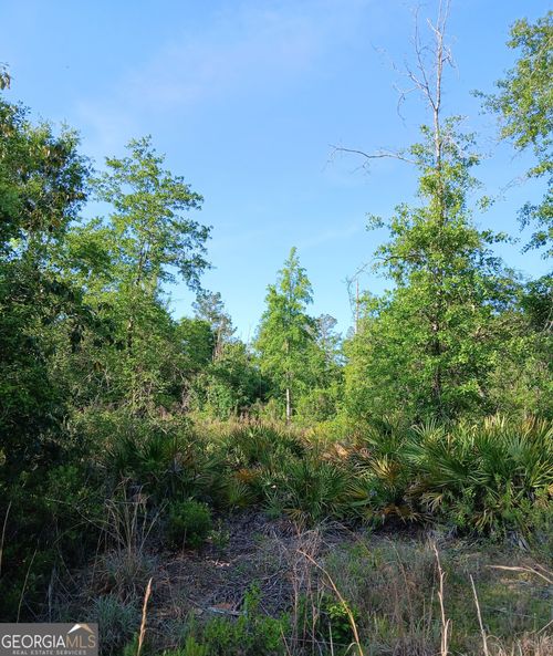 284-acre-parcel-lot-0 Old Traders Hill Rd, Folkston, GA, 31537 | Card Image