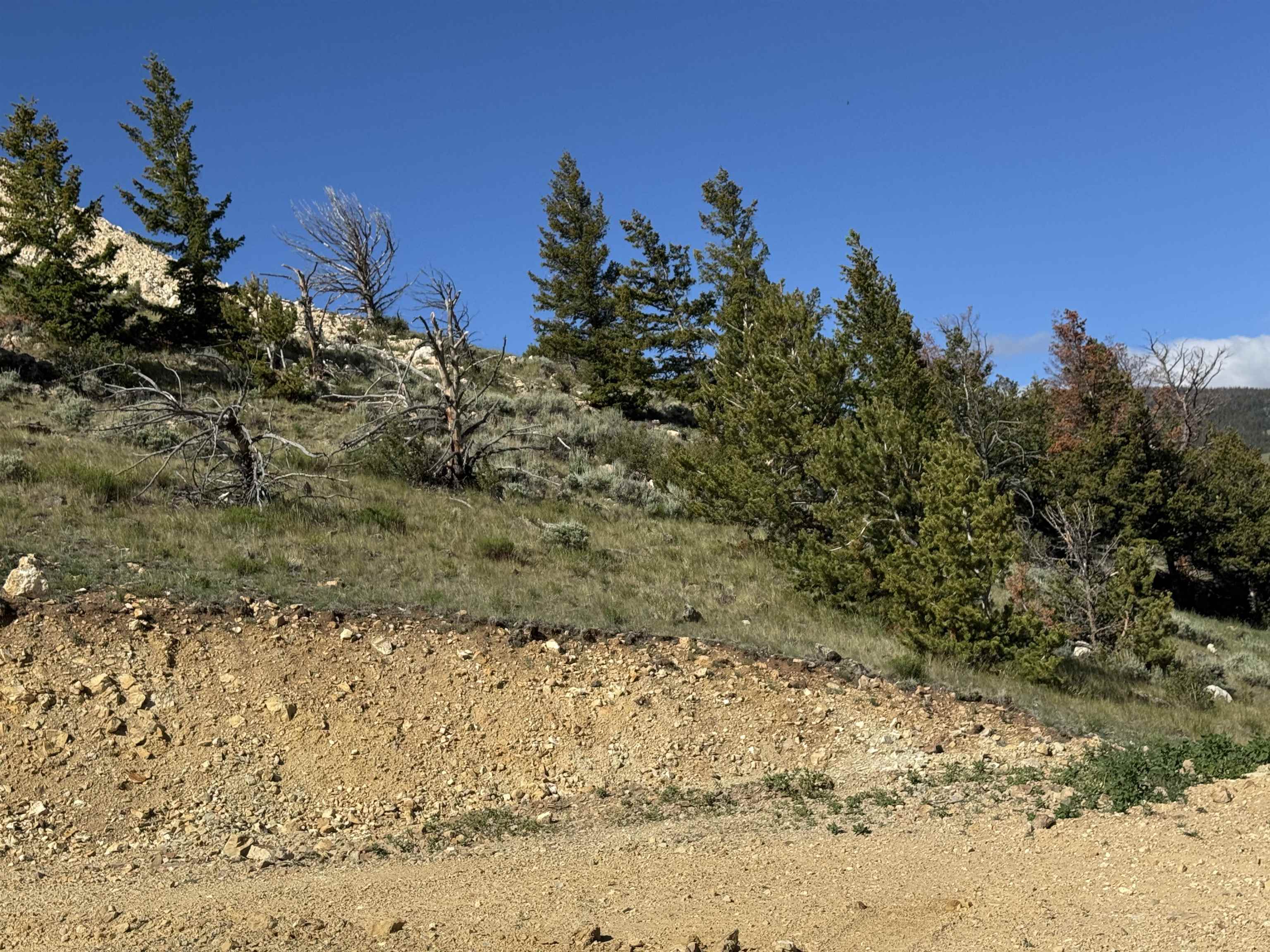 Land in Dubois 2
