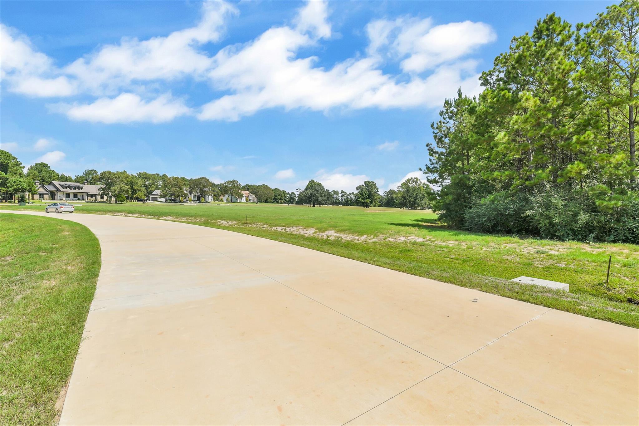 Land in Hockley 2