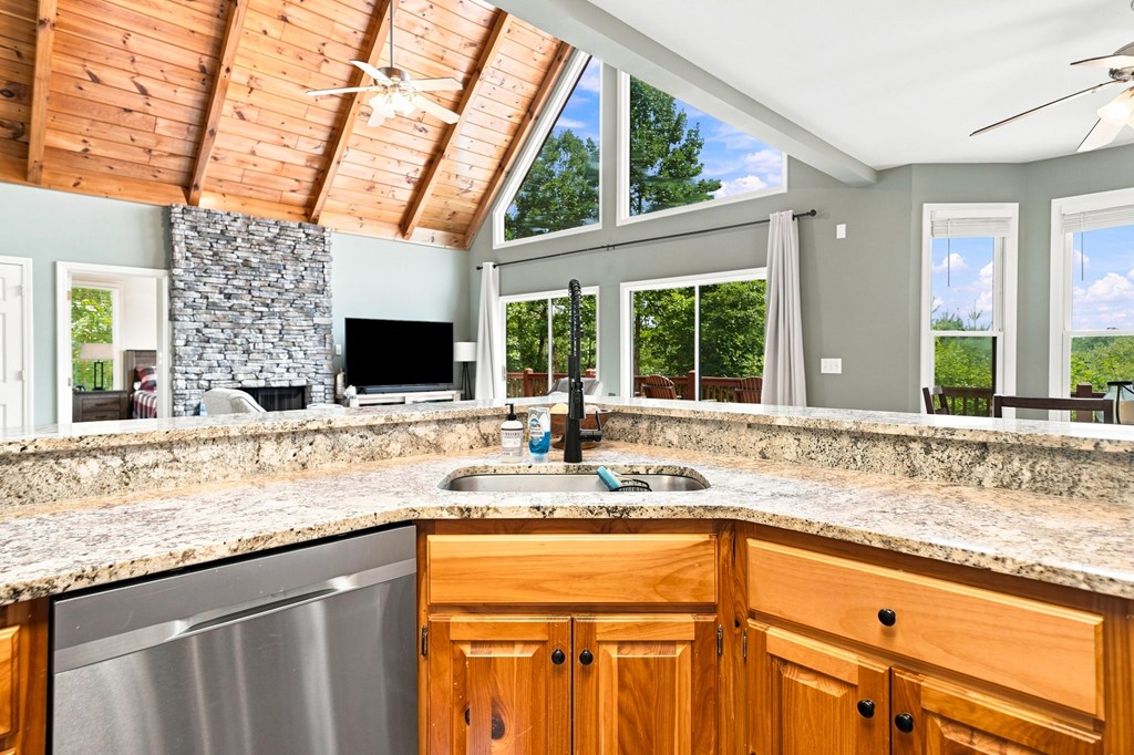 Residential in Ellijay 2