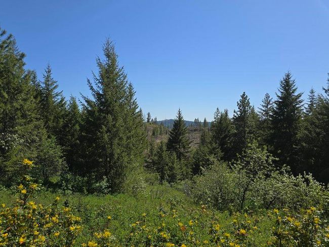 3715 Hill Loop Rd, Home with 0 bedrooms, 0 bathrooms and null parking in Kettle Falls WA | Image 4