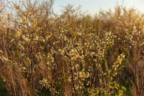 000 N 2620 Rd, Walters, OK, 73572 | Card Image