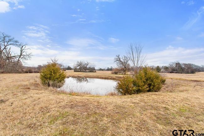 15037 State Highway 110, Home with 0 bedrooms, 0 bathrooms and null parking in Van TX | Image 27