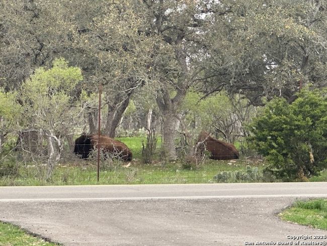 5290 Spring Branch Rd, House other with 3 bedrooms, 2 bathrooms and null parking in Spring Branch TX | Image 38