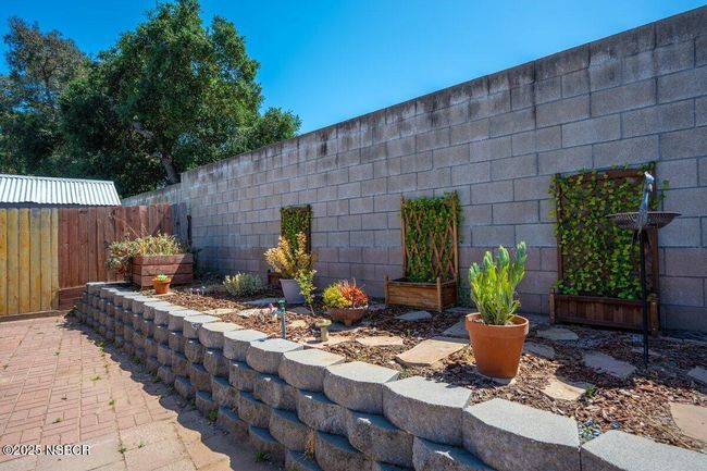 Back Yard 4 (1) | Image 25
