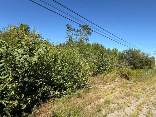 9 Clark Road, Kenduskeag, ME, 04450 | Card Image