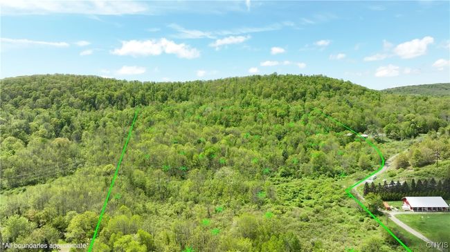 4529 State Highway 28, Home with 0 bedrooms, 0 bathrooms and 10 parking in Hartwick NY | Image 10