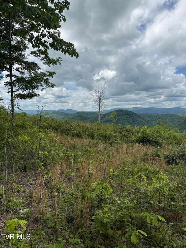 00 Heavens View Ln, Home with 0 bedrooms, 0 bathrooms and null parking in Gate City VA | Image 13
