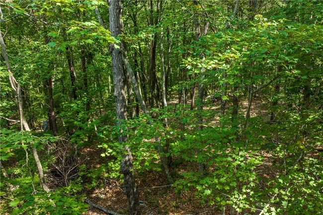 206 Mystic Trail Ln, Home with 0 bedrooms, 0 bathrooms and null parking in Jasper GA | Image 12