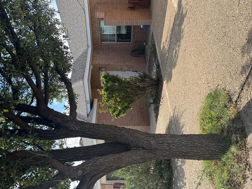 4519 Crockett Ave, Midland, TX, 79703-5477 | Card Image