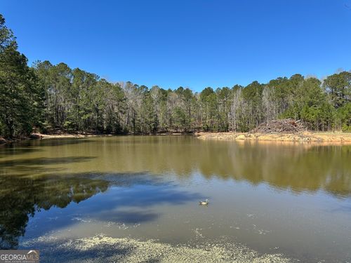 160.29 ACRES Carl Mathis Rd, Talbotton, GA, 31827-5114 | Card Image
