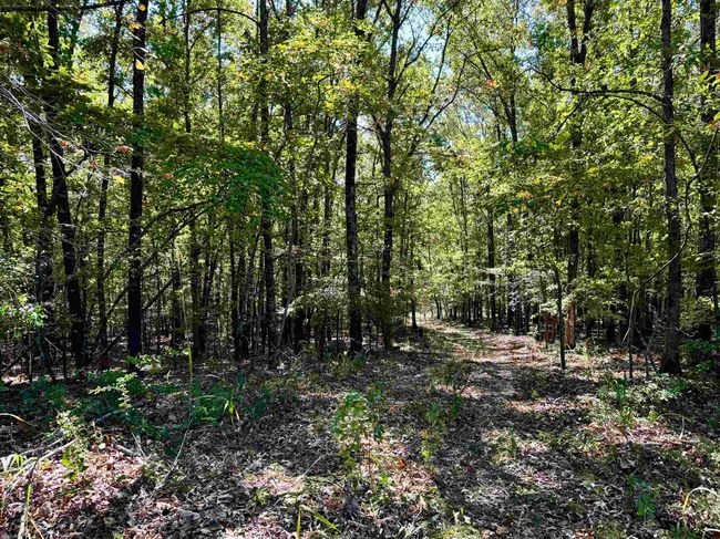 1660 Knob Creek Rd, House other with 3 bedrooms, 2 bathrooms and null parking in Melbourne AR | Image 30