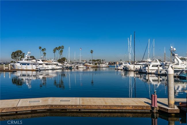 Picturesque marina featuring luxury yachts, sailboats, and calm waters | Image 20