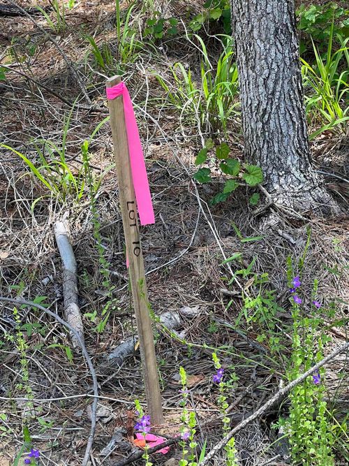 xx Lot 10 Castle, Glenwood, AR, 71943 | Card Image