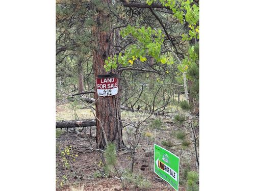 414 Hall Rd, BAILEY, CO, 80421-1548 | Card Image