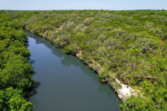 Aerial view of a forest and a nearby body of water | Image 36