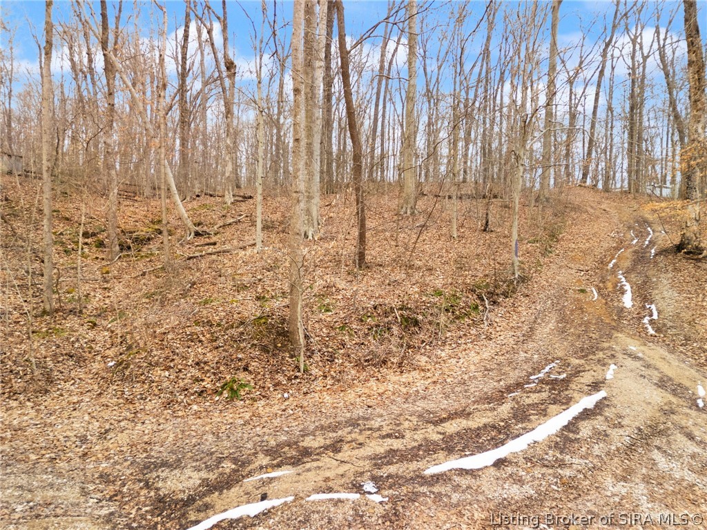 Land in Paoli 5