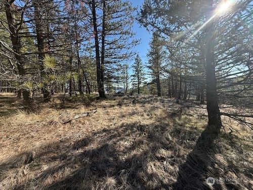 171 Garrett Ln, Tonasket, WA, 98855-9788 | Card Image