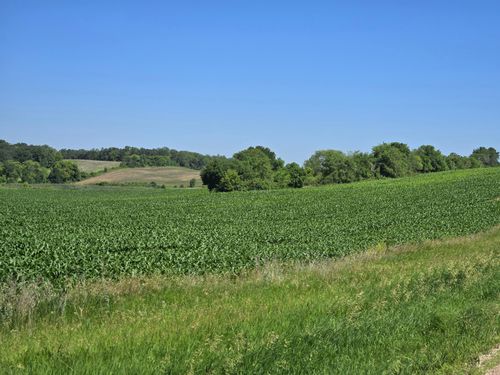 TBD County Highway 83, Battle Lake, MN, 56515 | Card Image