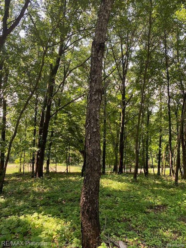 6 Sleaford Parcel 6   2.1 Acres Road, Home with 0 bedrooms, 0 bathrooms and null parking in Howell Township MI | Image 19