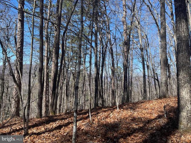 0 Bear Cove Rd, Home with 0 bedrooms, 0 bathrooms and null parking in Bryson City NC | Image 12