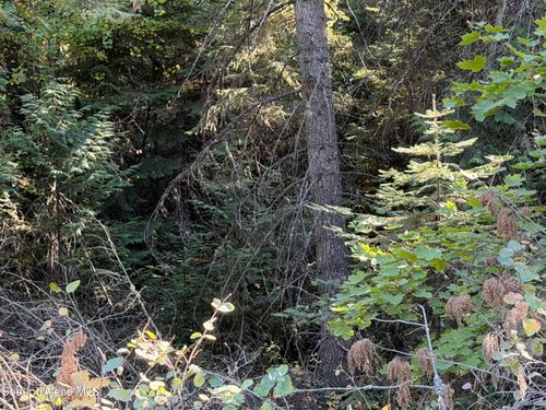 NNA W Grayeagle Rd, Rathdrum, ID, 83858 | Card Image