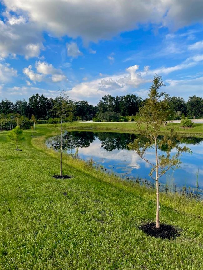 2607 405 Th Ct E, Home with 0 bedrooms, 0 bathrooms and null parking in MYAKKA CITY FL | Image 17