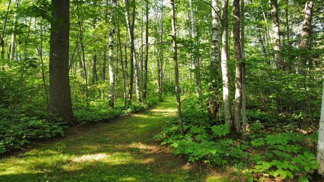 2211 County Road 5, House other with 3 bedrooms, 2 bathrooms and null parking in Carlton MN | Image 36