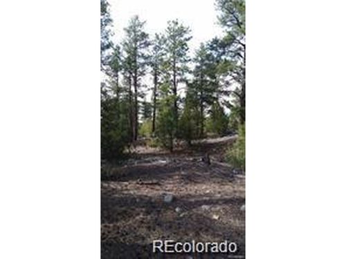 13 Costilla Blvd, Alamosa, CO, 81101-2814 | Card Image